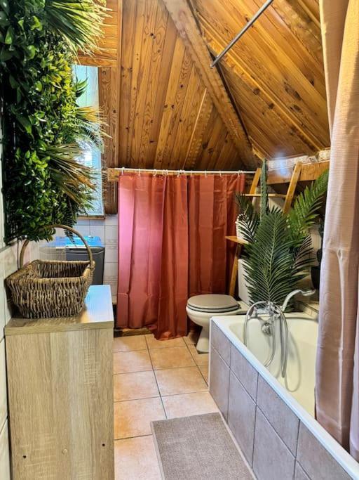 Un Dans La Appartement Colmar